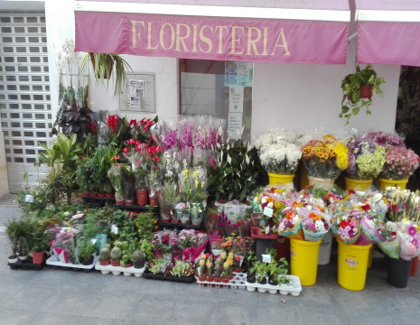 Top 200+ floristeria puerto real